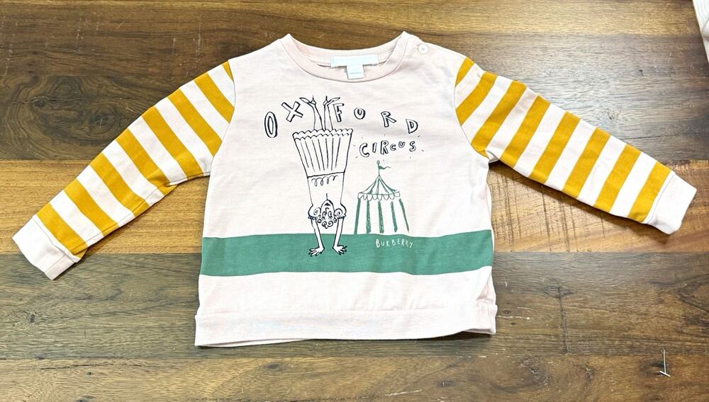 Burberry Pink Circus Striped Long Sleeve Crewneck Pullover Sweatshirt 12M